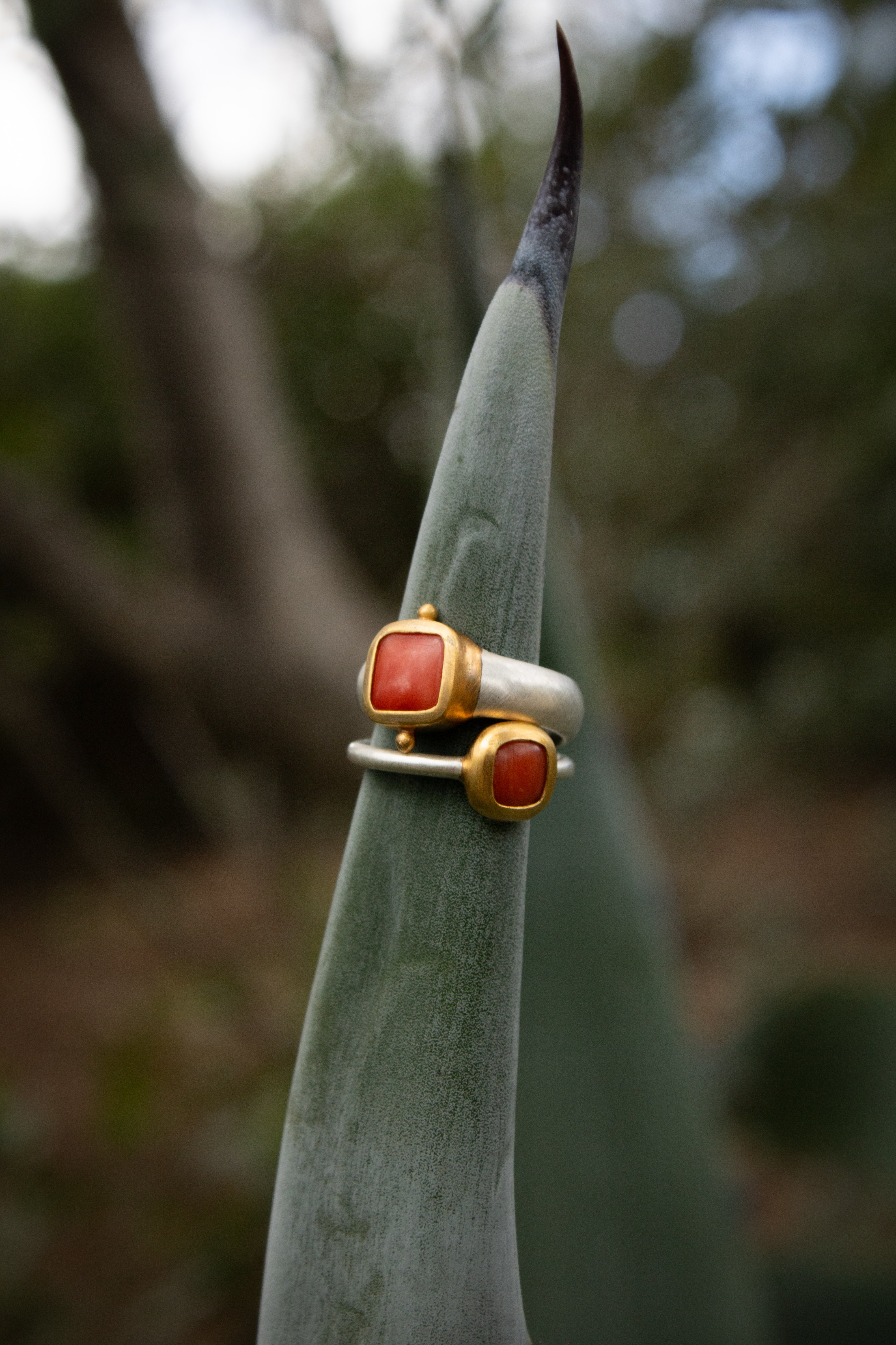 Korallen Ring