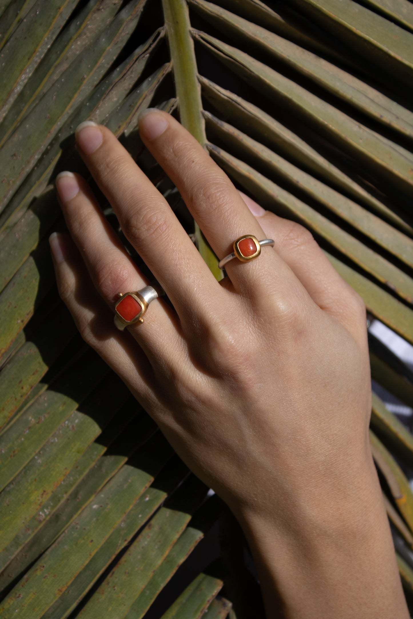 Korallen Ring