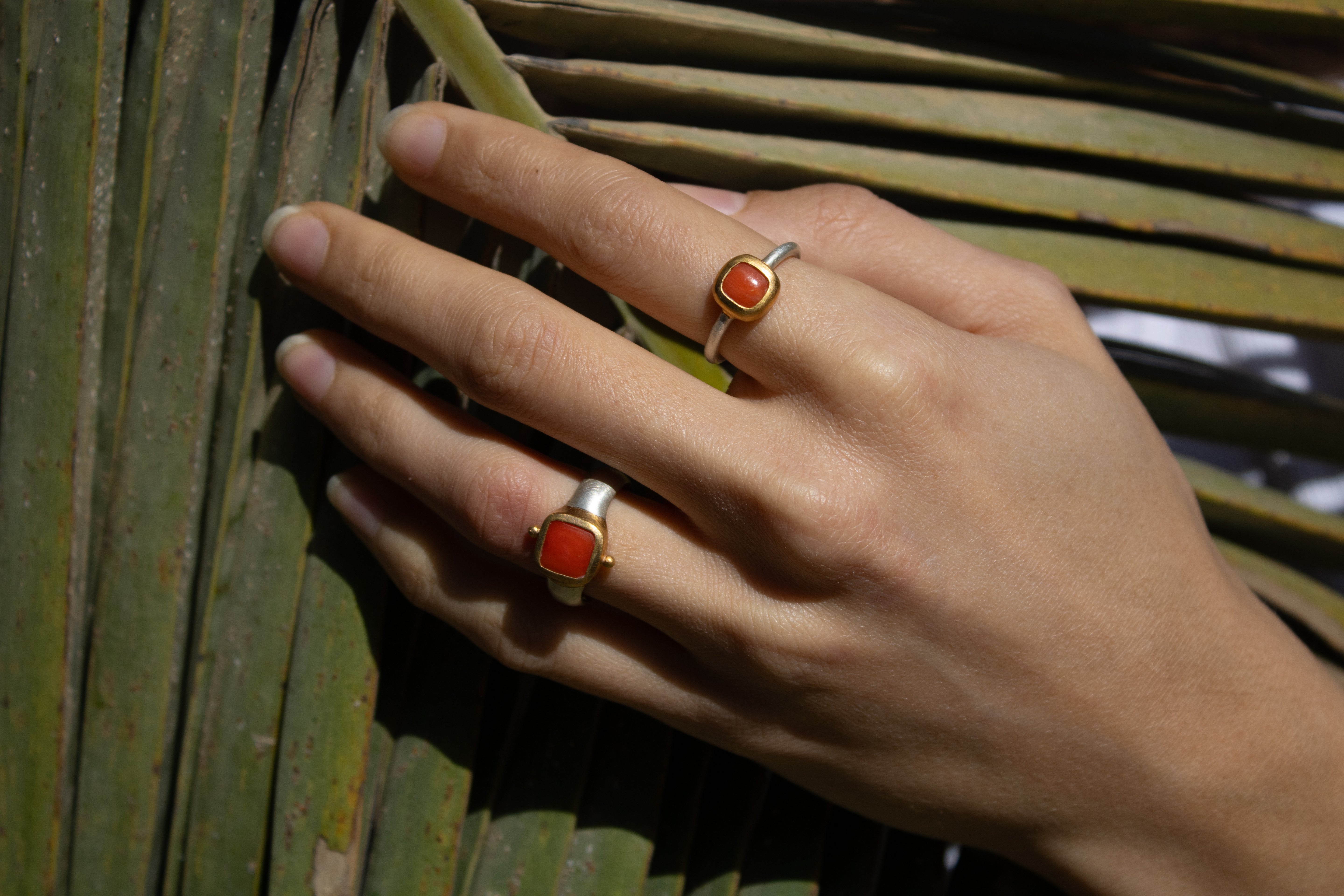 Korallen Ring