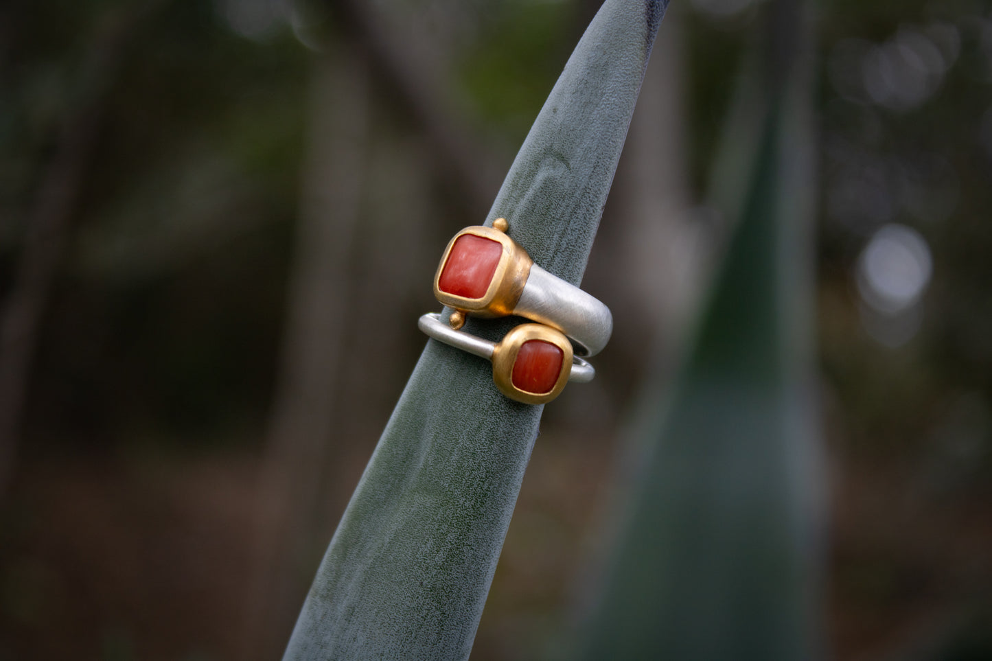 Korallen Ring