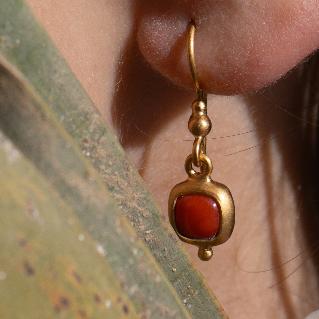 Koralle Ohrhänger 6x6mm Chushion Caboshon in Gold Vermeil MonikaHerré